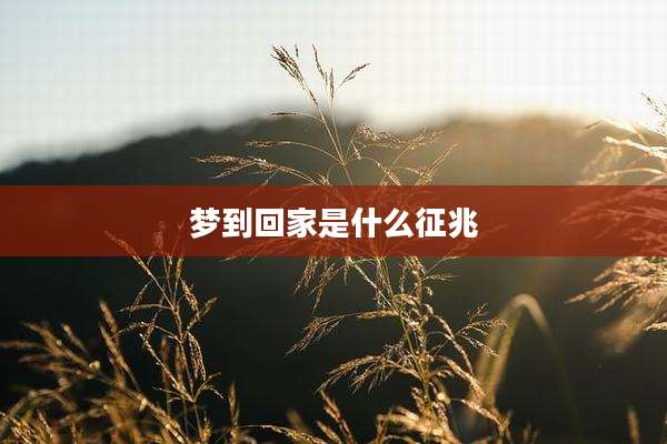 梦到回家是什么征兆