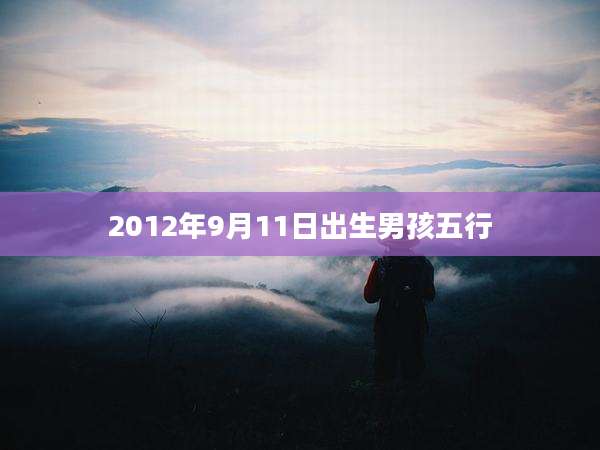 2012年9月11日出生男孩五行