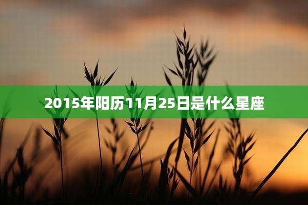 2015年阳历11月25日是什么星座