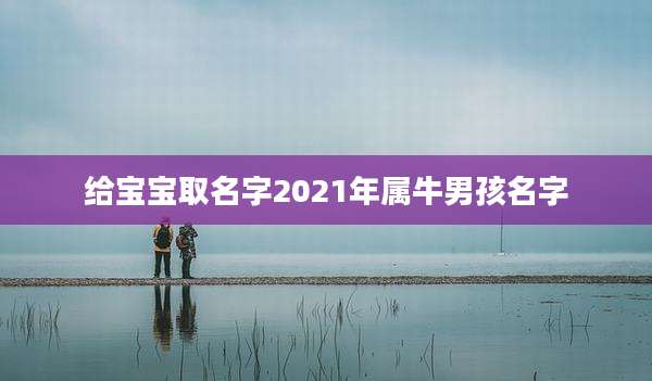 给宝宝取名字2021年属牛男孩名字