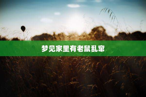 梦见家里有老鼠乱窜