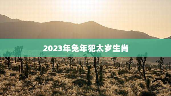 2023年兔年犯太岁生肖