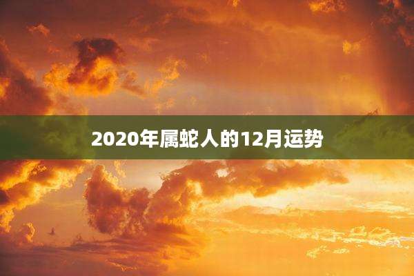 2020年属蛇人的12月运势
