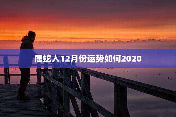 属蛇人12月份运势如何2020