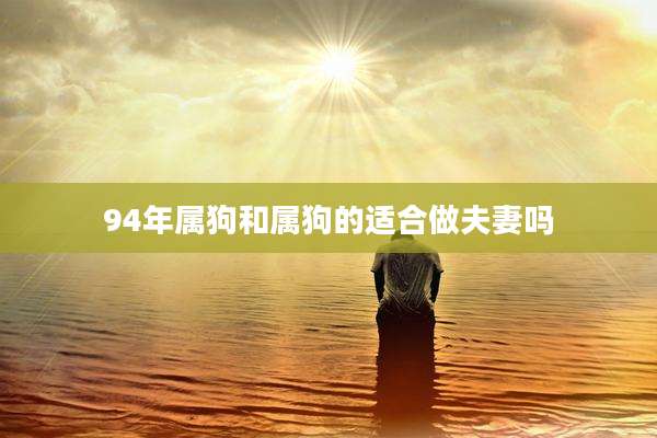 94年属狗和属狗的适合做夫妻吗