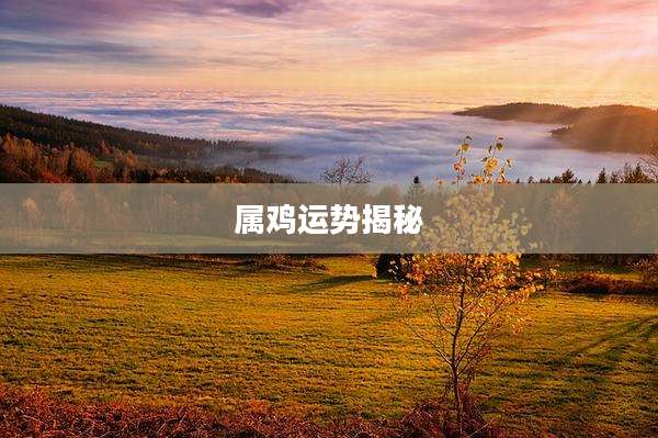 属鸡运势揭秘