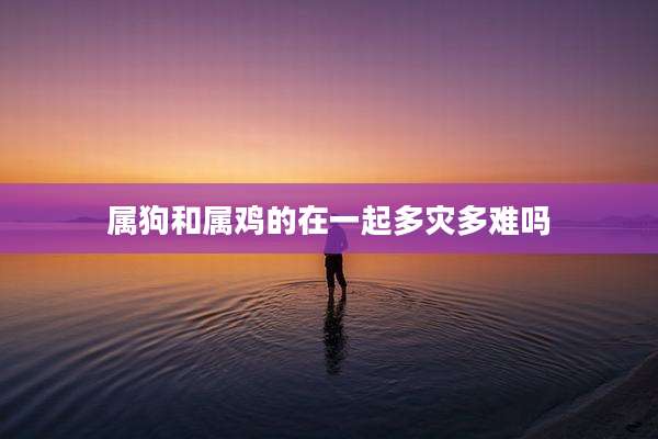 属狗和属鸡的在一起多灾多难吗