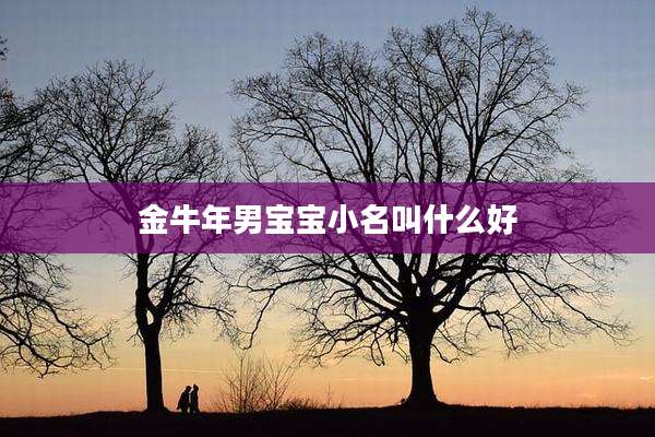 金牛年男宝宝小名叫什么好