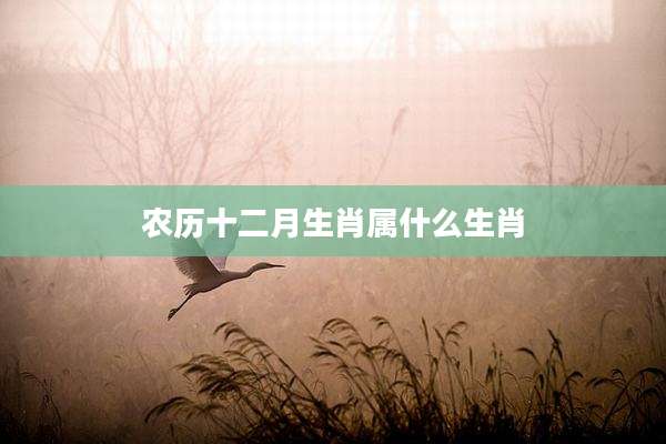 农历十二月生肖属什么生肖