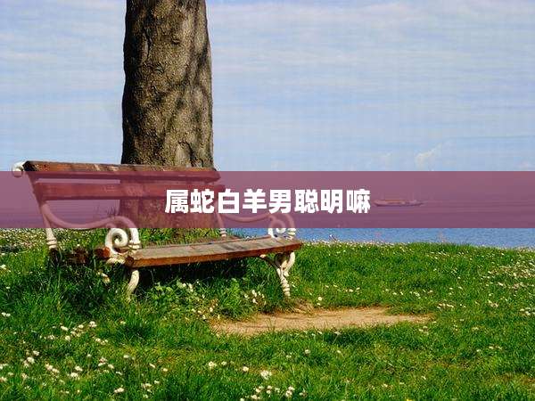 属蛇白羊男聪明嘛