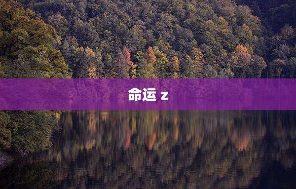 命运 z