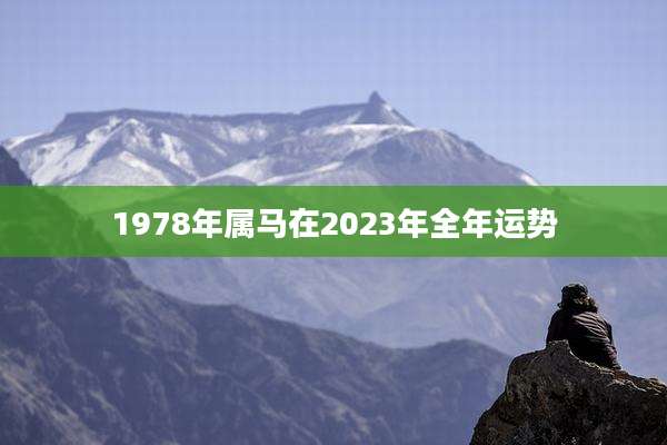 1978年属马在2023年全年运势