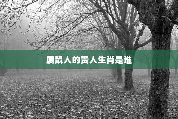 属鼠人的贵人生肖是谁
