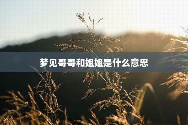 梦见哥哥和姐姐是什么意思