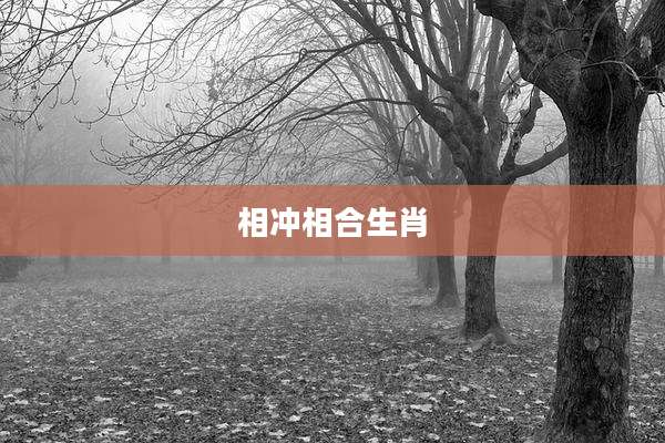 相冲相合生肖