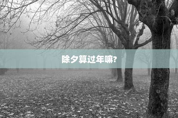 除夕算过年嘛?