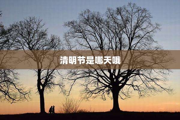 清明节是哪天哦