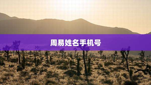 周易姓名手机号