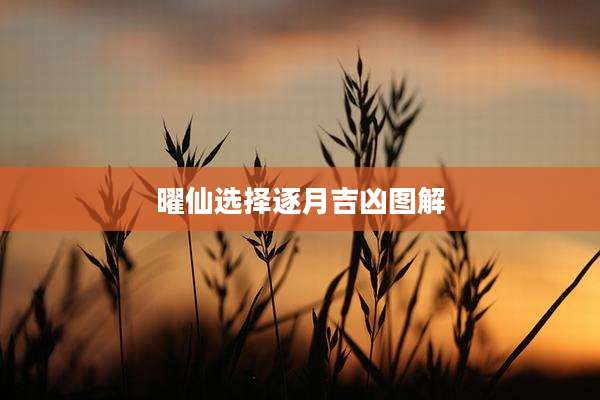 曜仙选择逐月吉凶图解