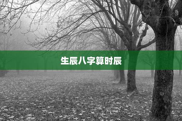 生辰八字算时辰