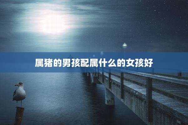 属猪的男孩配属什么的女孩好