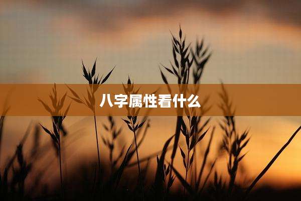 八字属性看什么