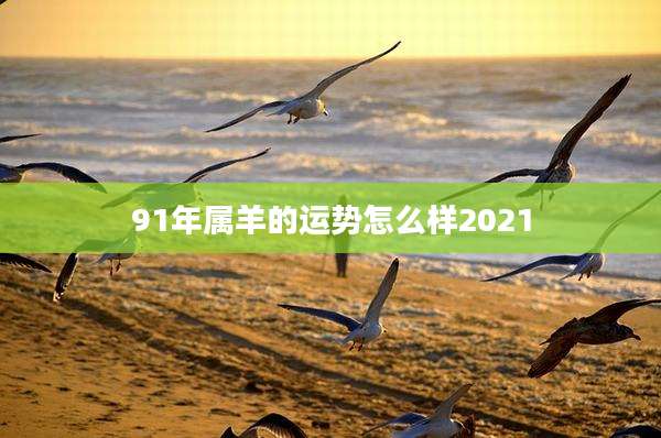 91年属羊的运势怎么样2021