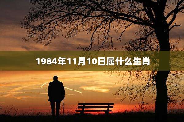 1984年11月10日属什么生肖