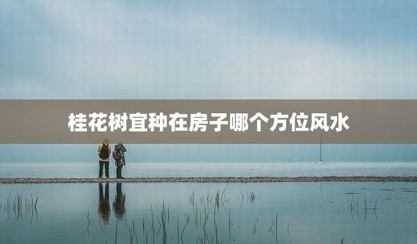 桂花树宜种在房子哪个方位风水