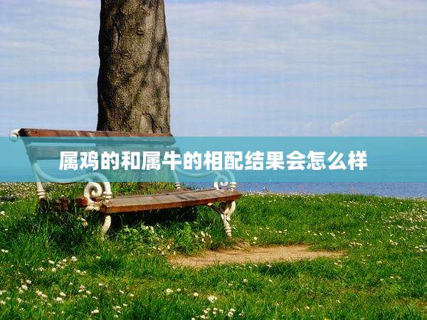 属鸡的和属牛的相配结果会怎么样