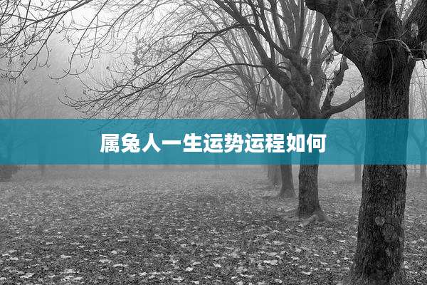 属兔人一生运势运程如何