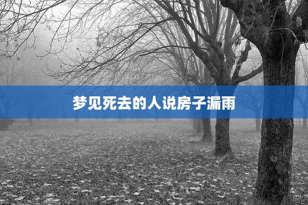 梦见死去的人说房子漏雨