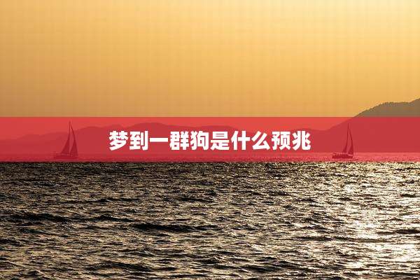 梦到一群狗是什么预兆