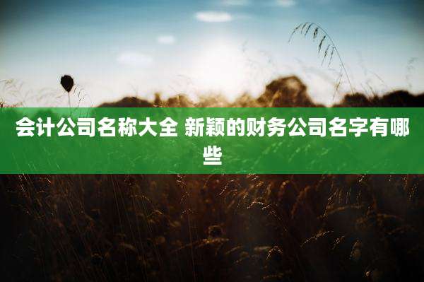 会计公司名称大全 新颖的财务公司名字有哪些