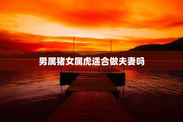 男属猪女属虎适合做夫妻吗
