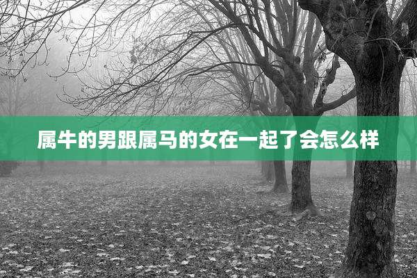 属牛的男跟属马的女在一起了会怎么样
