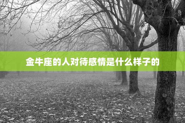 金牛座的人对待感情是什么样子的