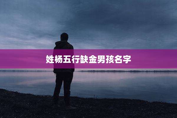 姓杨五行缺金男孩名字