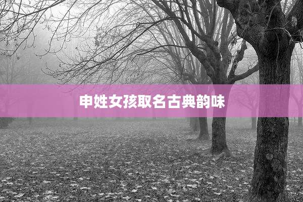 申姓女孩取名古典韵味