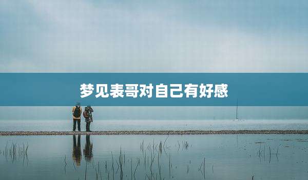 梦见表哥对自己有好感