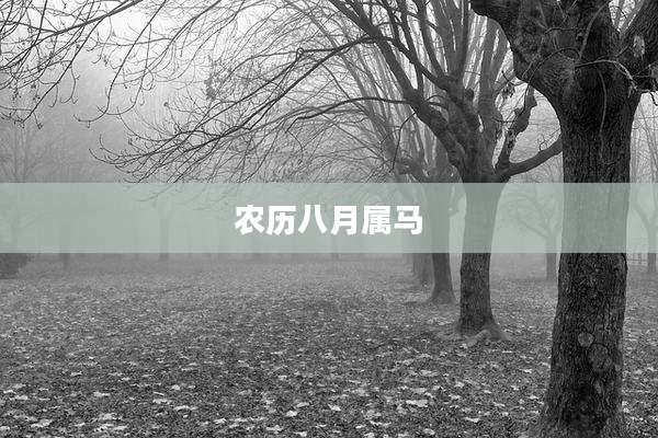 农历八月属马