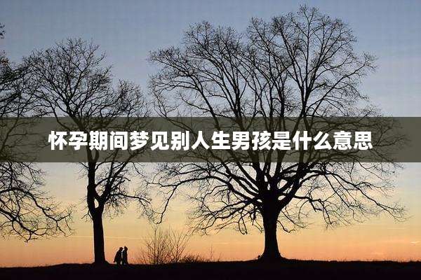 怀孕期间梦见别人生男孩是什么意思