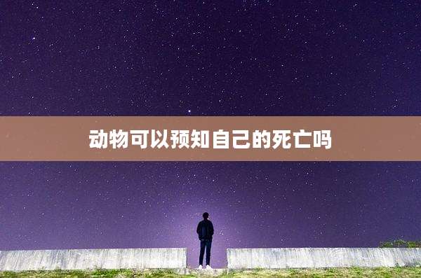 动物可以预知自己的死亡吗