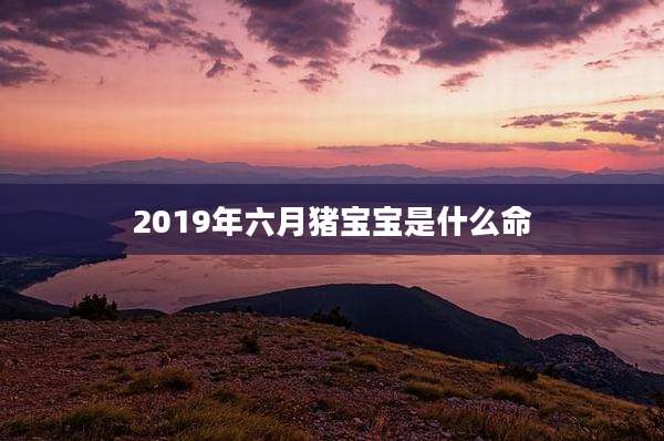 2019年六月猪宝宝是什么命