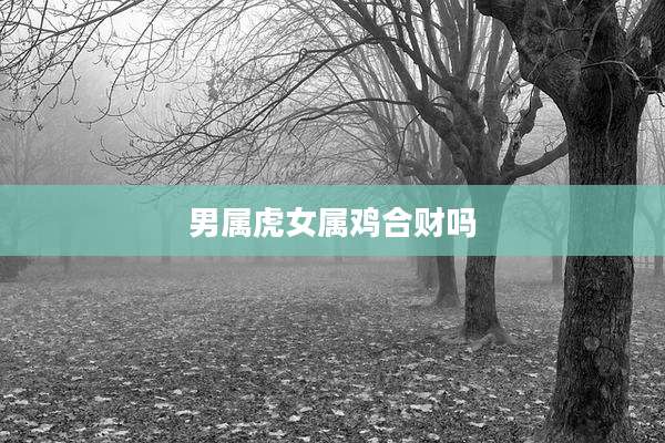 男属虎女属鸡合财吗