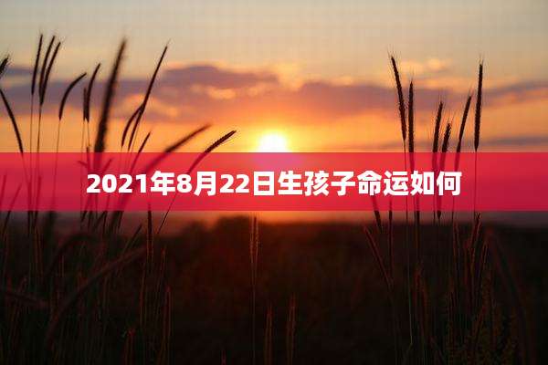 2021年8月22日生孩子命运如何