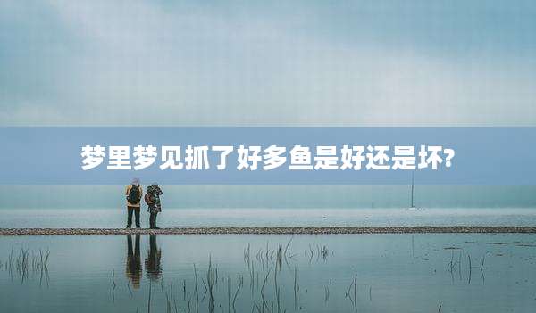 梦里梦见抓了好多鱼是好还是坏?