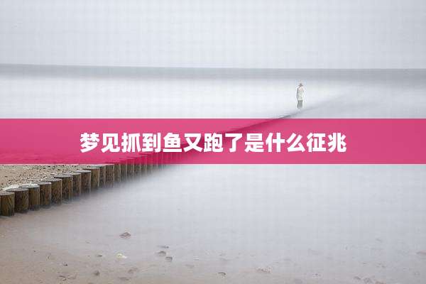 梦见抓到鱼又跑了是什么征兆