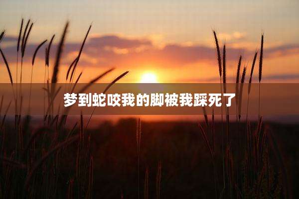 梦到蛇咬我的脚被我踩死了