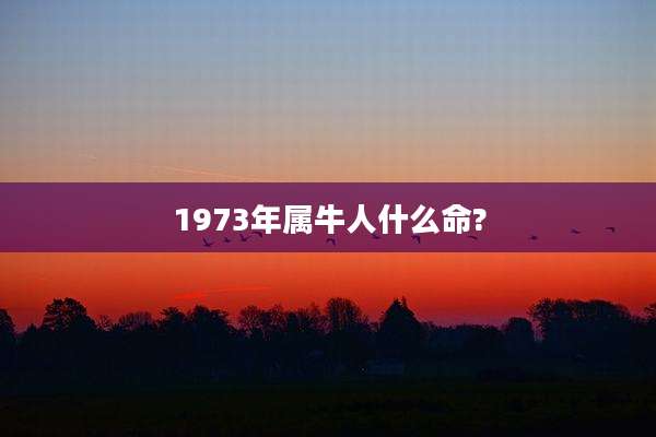 1973年属牛人什么命?